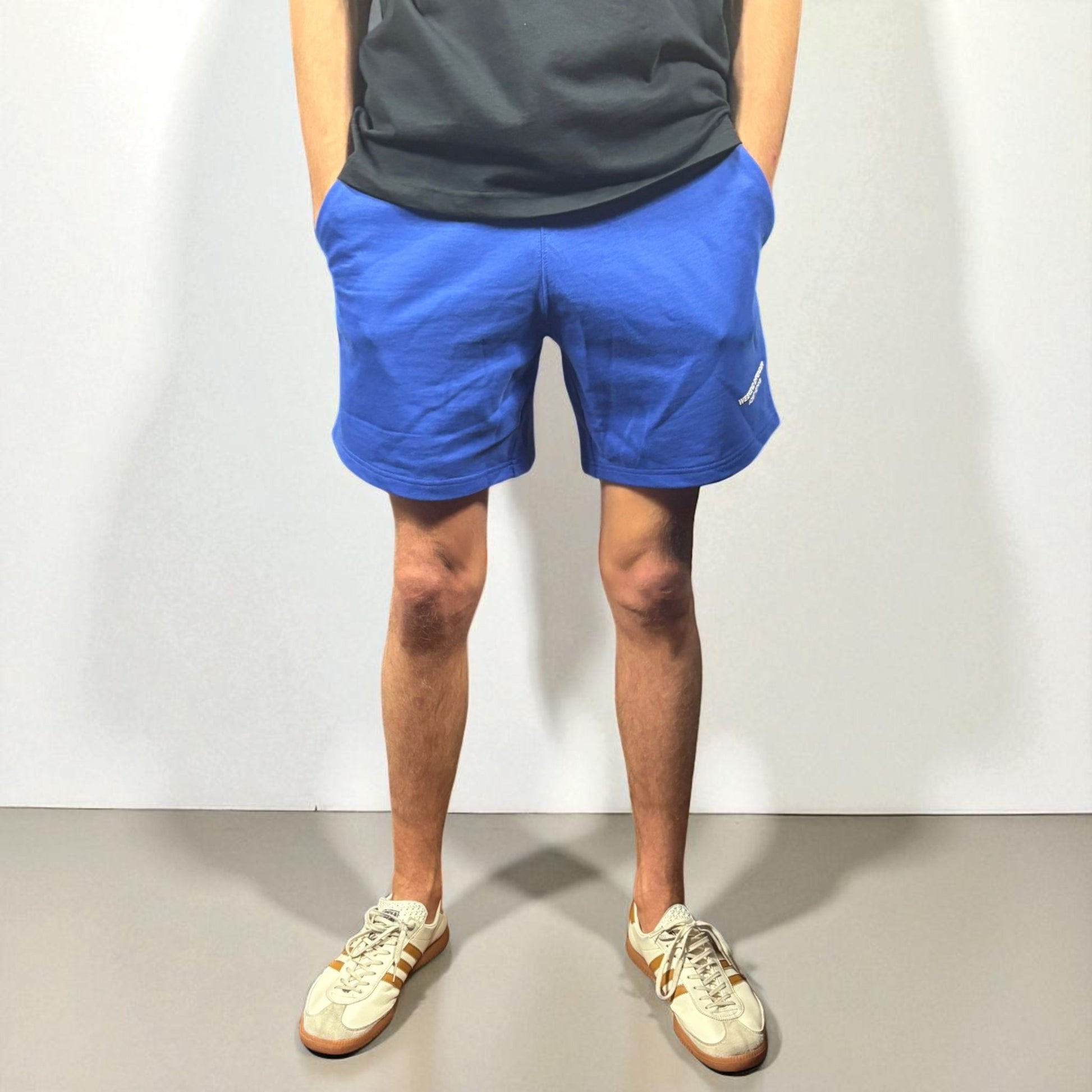 BNWT Weekend Offender Mytros Cotton Short