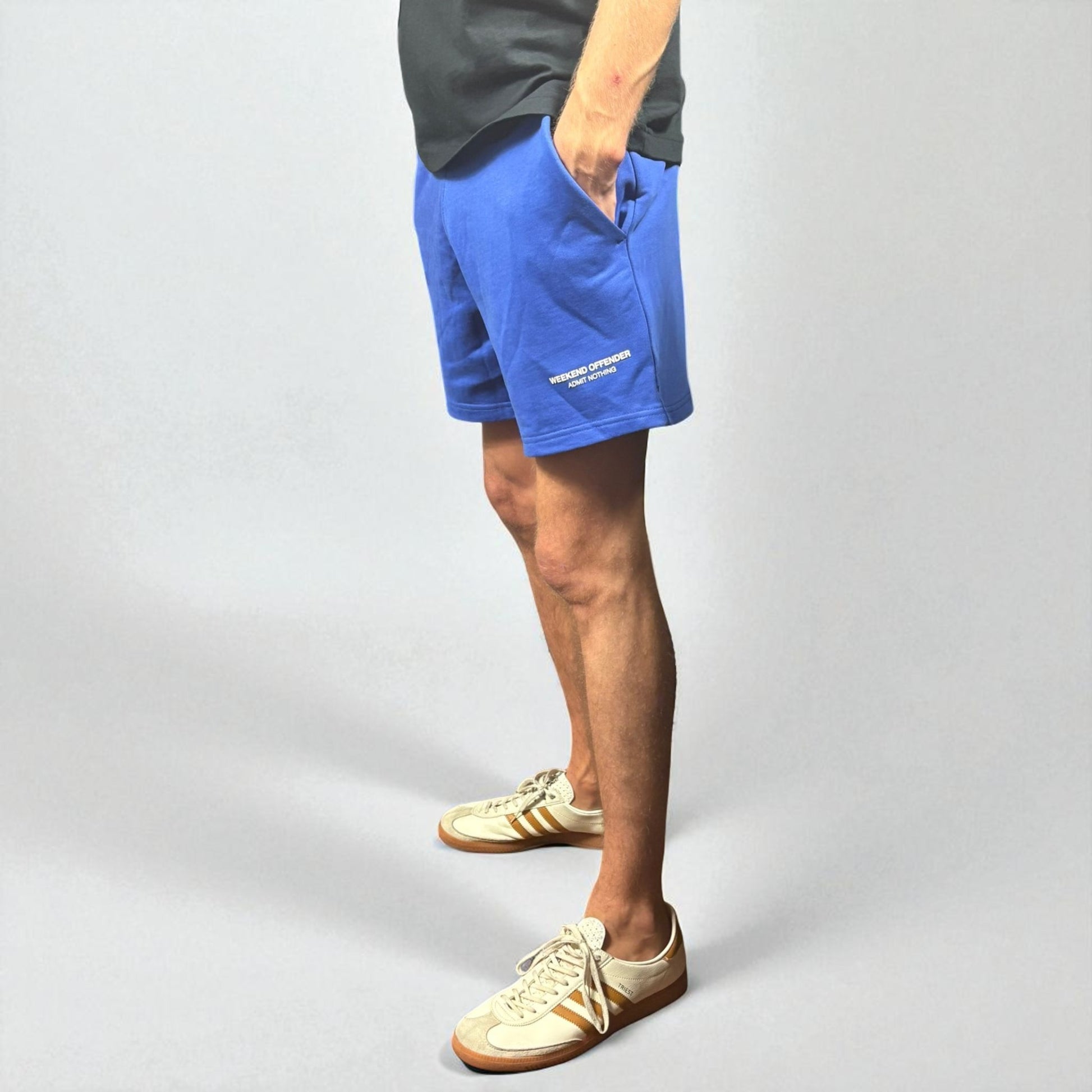 BNWT Weekend Offender Mytros Cotton Short